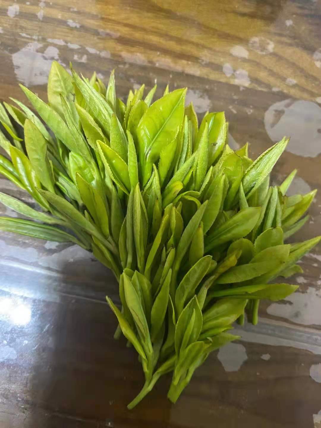 皇茶園{甘露}.jpg